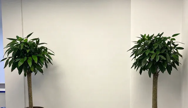 包装配送系统稳定性不足,如何提升加工效率